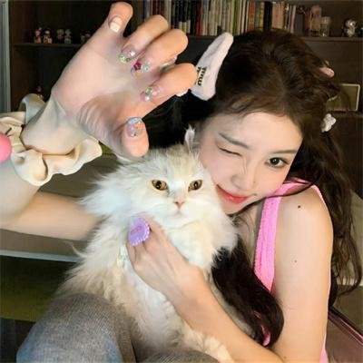 上海女子图鉴