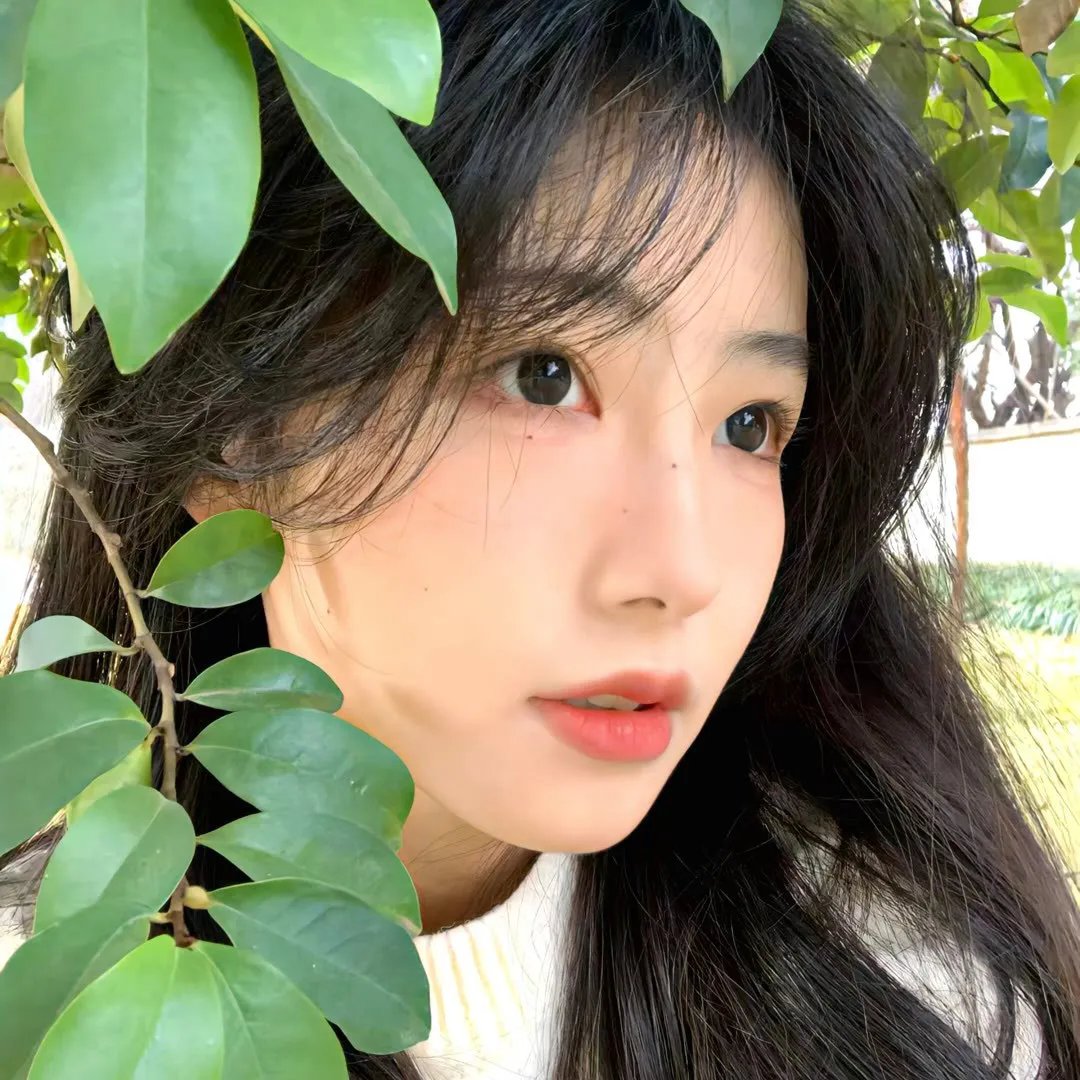 纽约爱音鳄